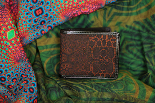 Fractals ✧ Wallet